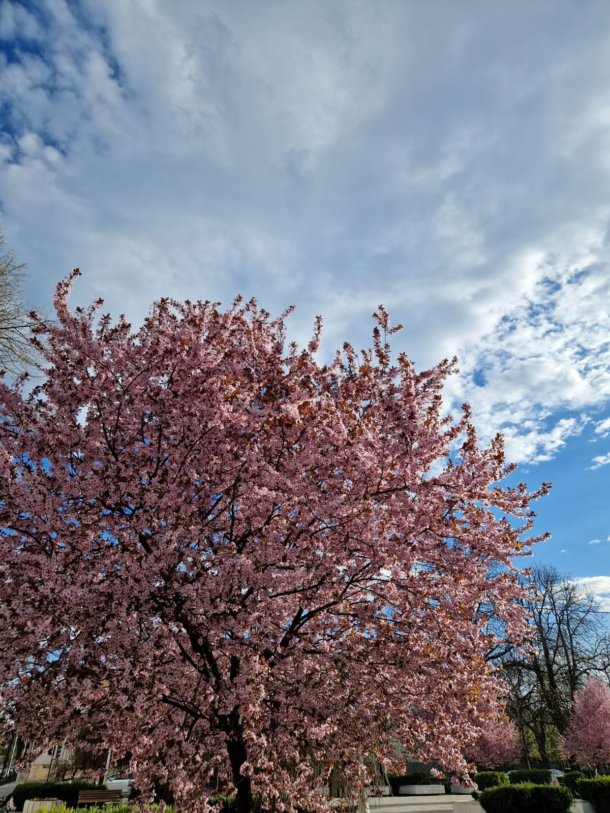 Nori, vânt şi posibile averse