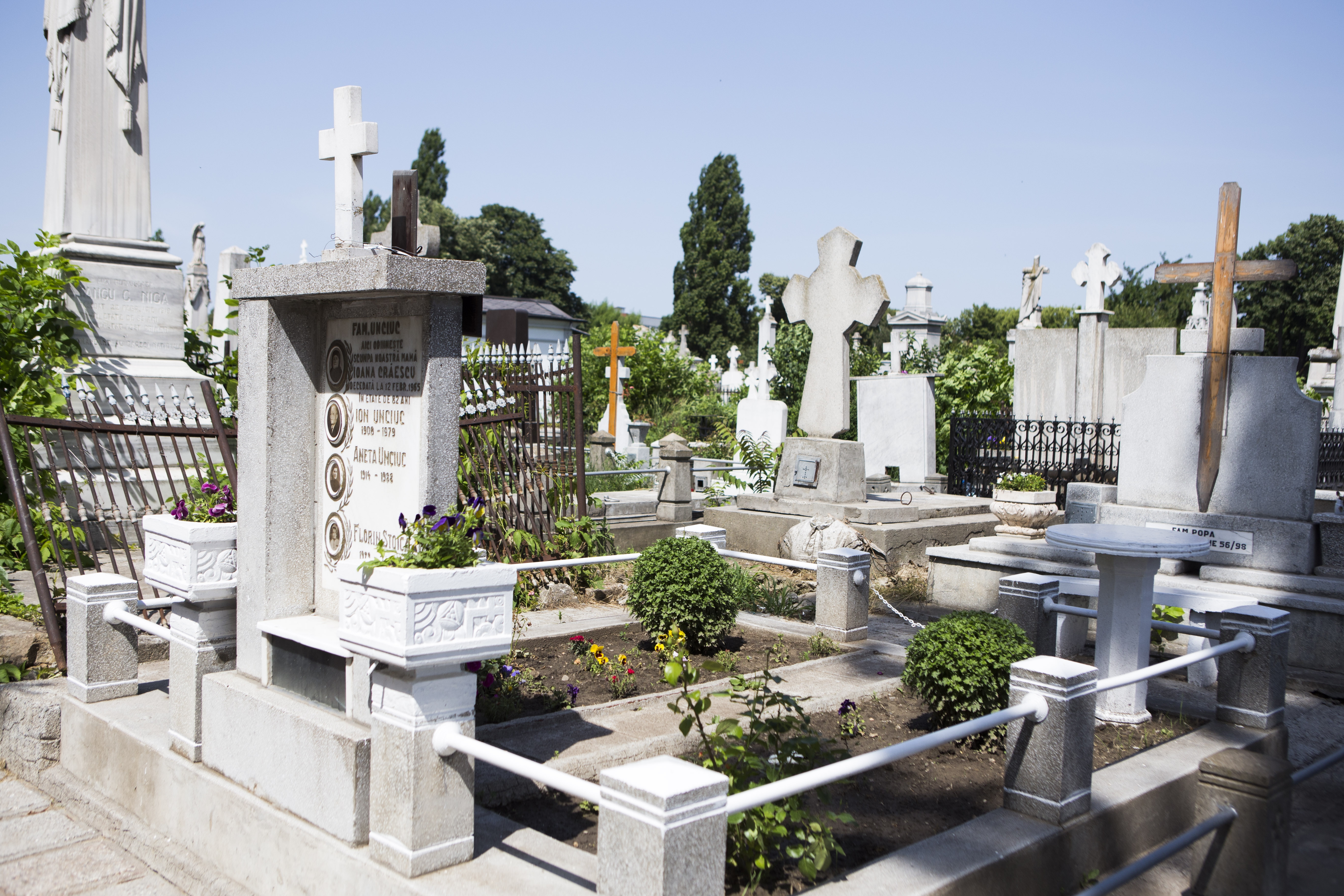 INVESTIŢIE la nivel de idee/ „Mai întâi CIMITIR, după aceea osuar”