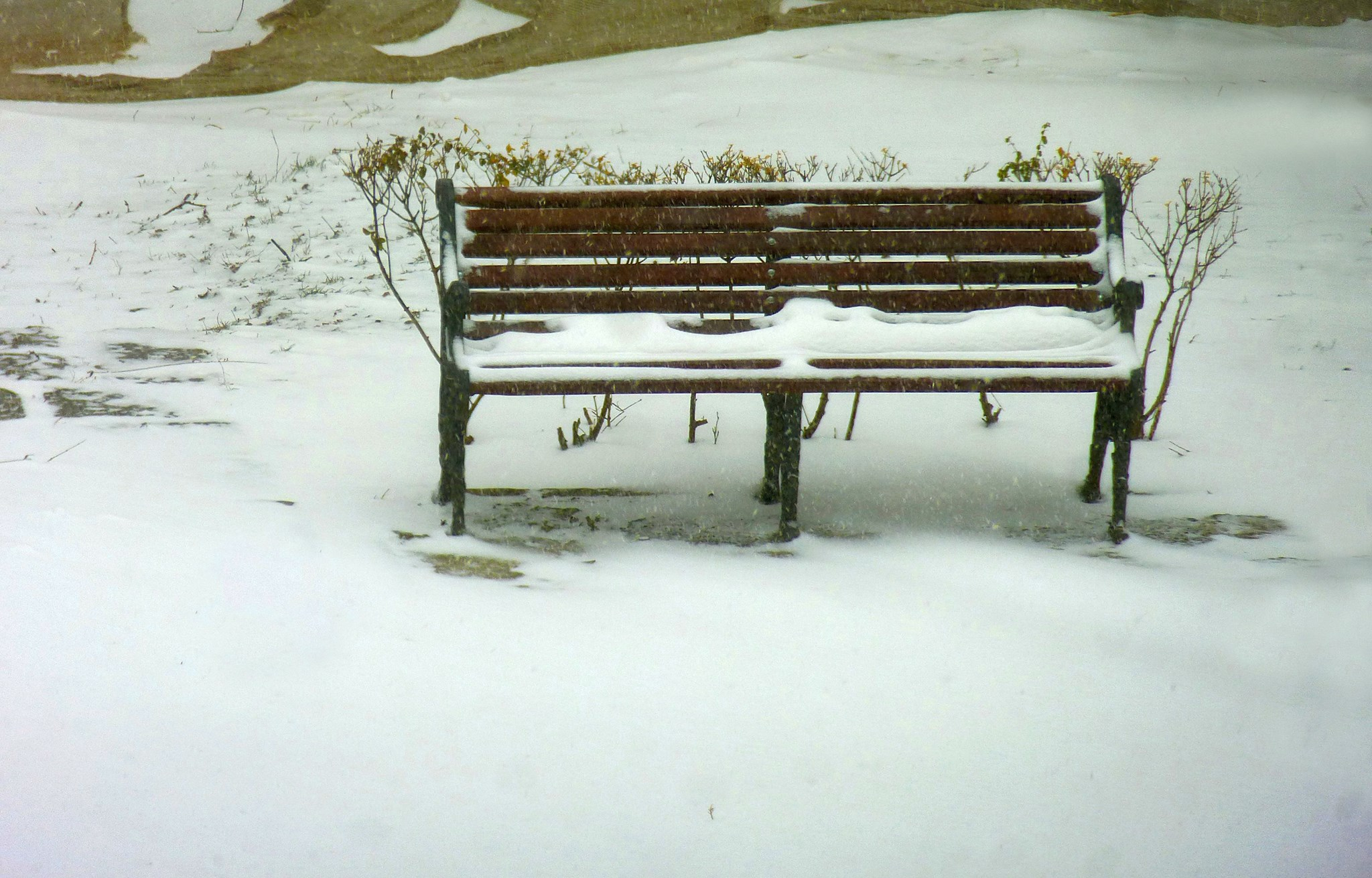 PROGNOZA METEO | Vineri, la Galați, ninsoare ușoară