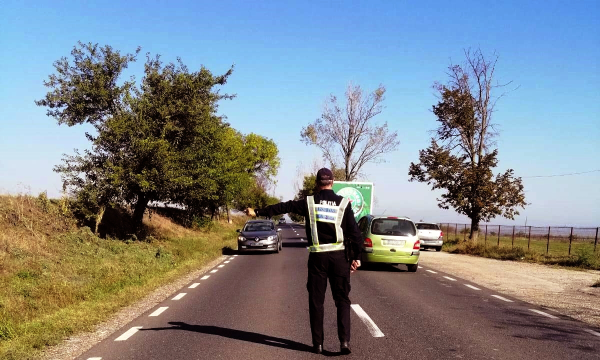 La volan, pe DN 26, fără permis