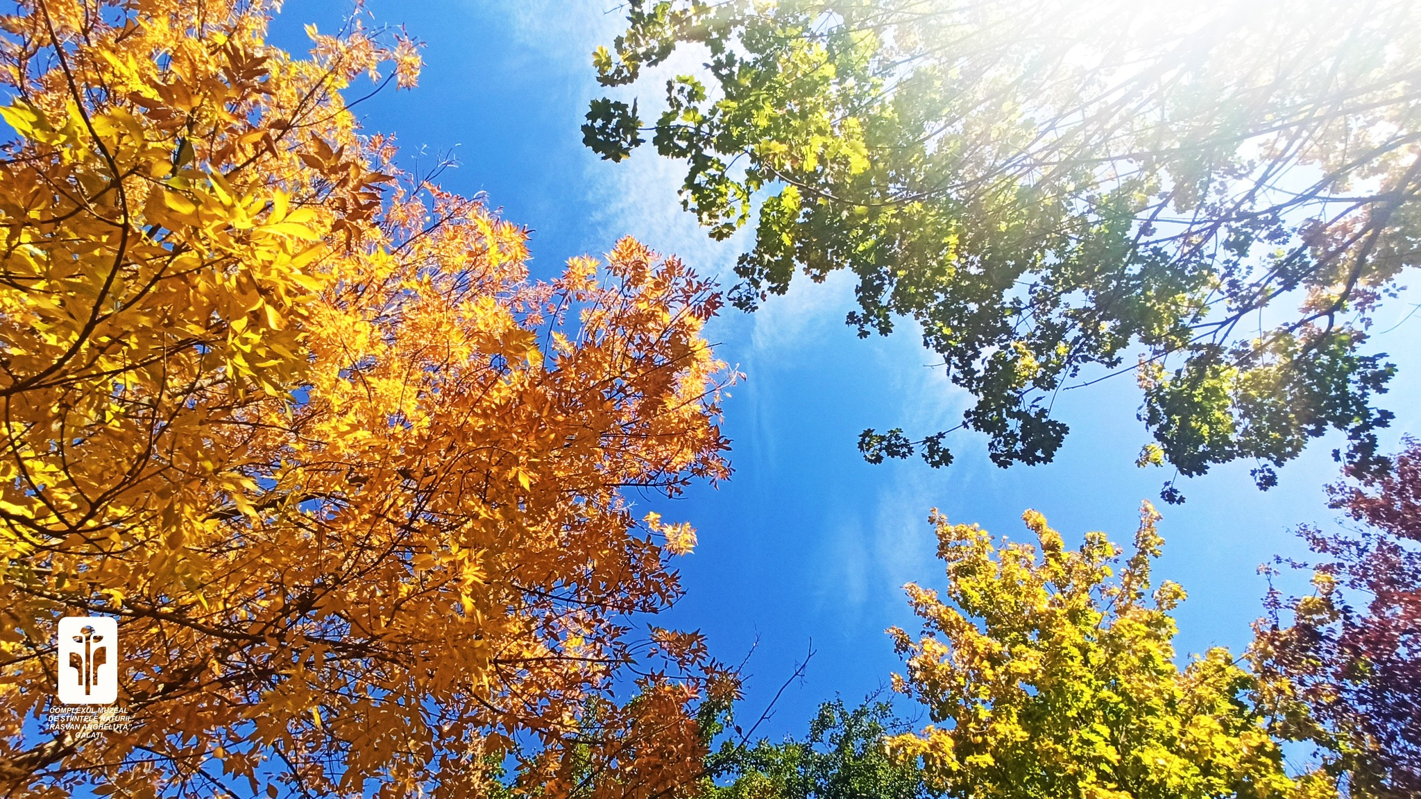 Cum va fi vremea la începutul lunii noiembrie