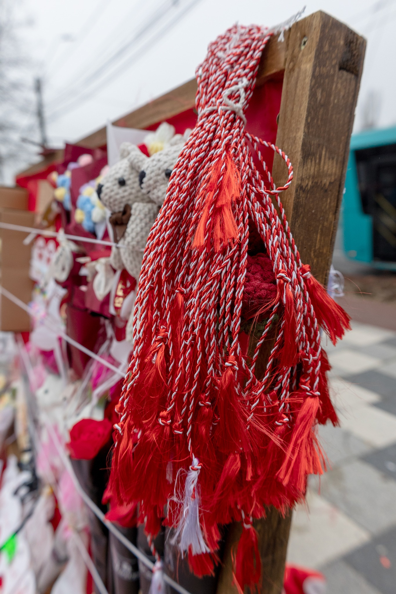 Primăria nu mai „sabotează” Valentine’s Day