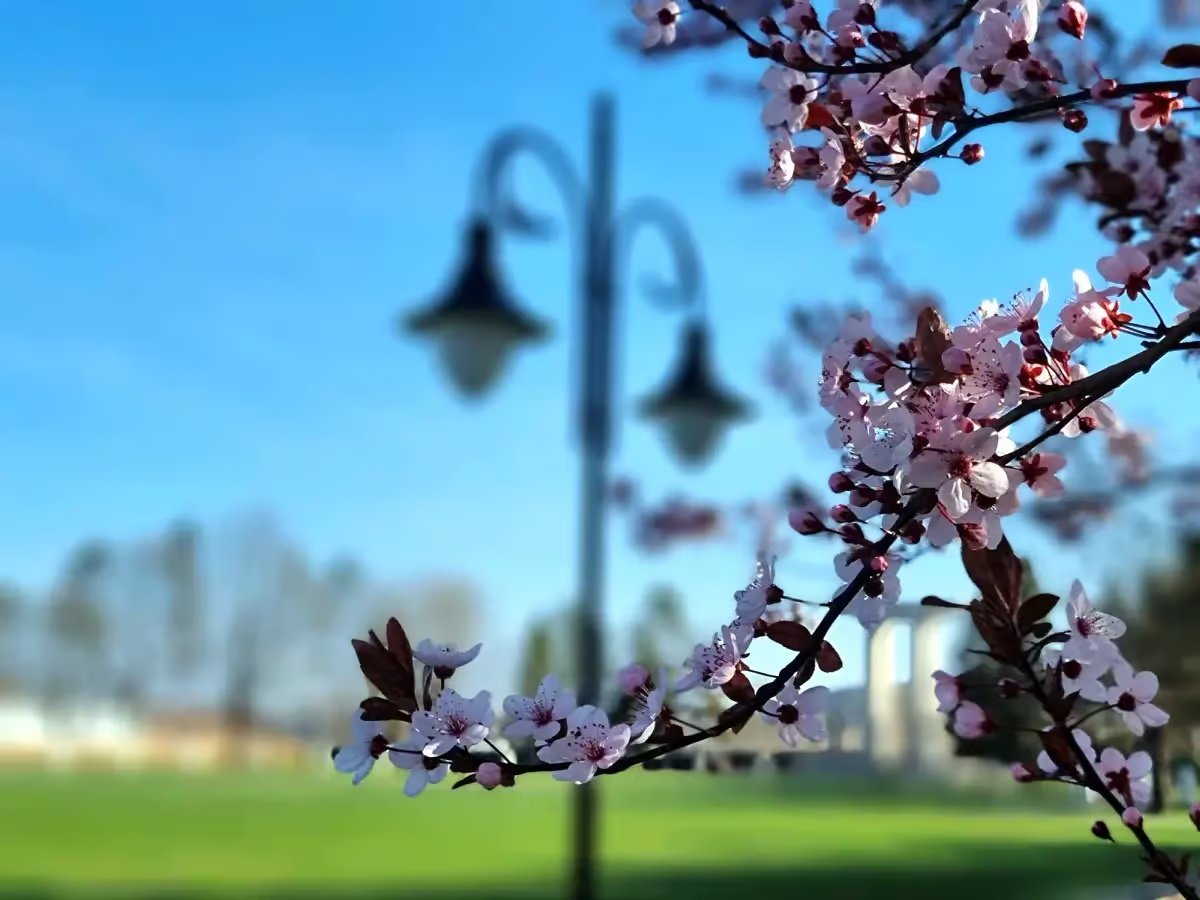 Cum va fi vremea în prima zi a săptămânii