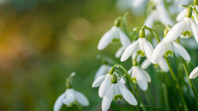 Vremea se încălzește. Prognoza meteo pentru următoarele două săptămâni