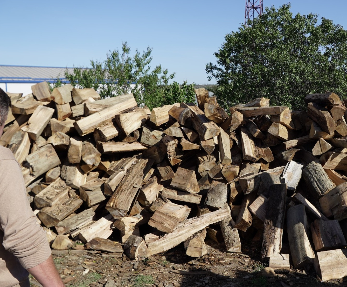 Lemne de foc la preţ mai scăzut