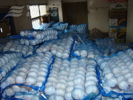 Şapte tone de usturoi fără documente, confiscate 