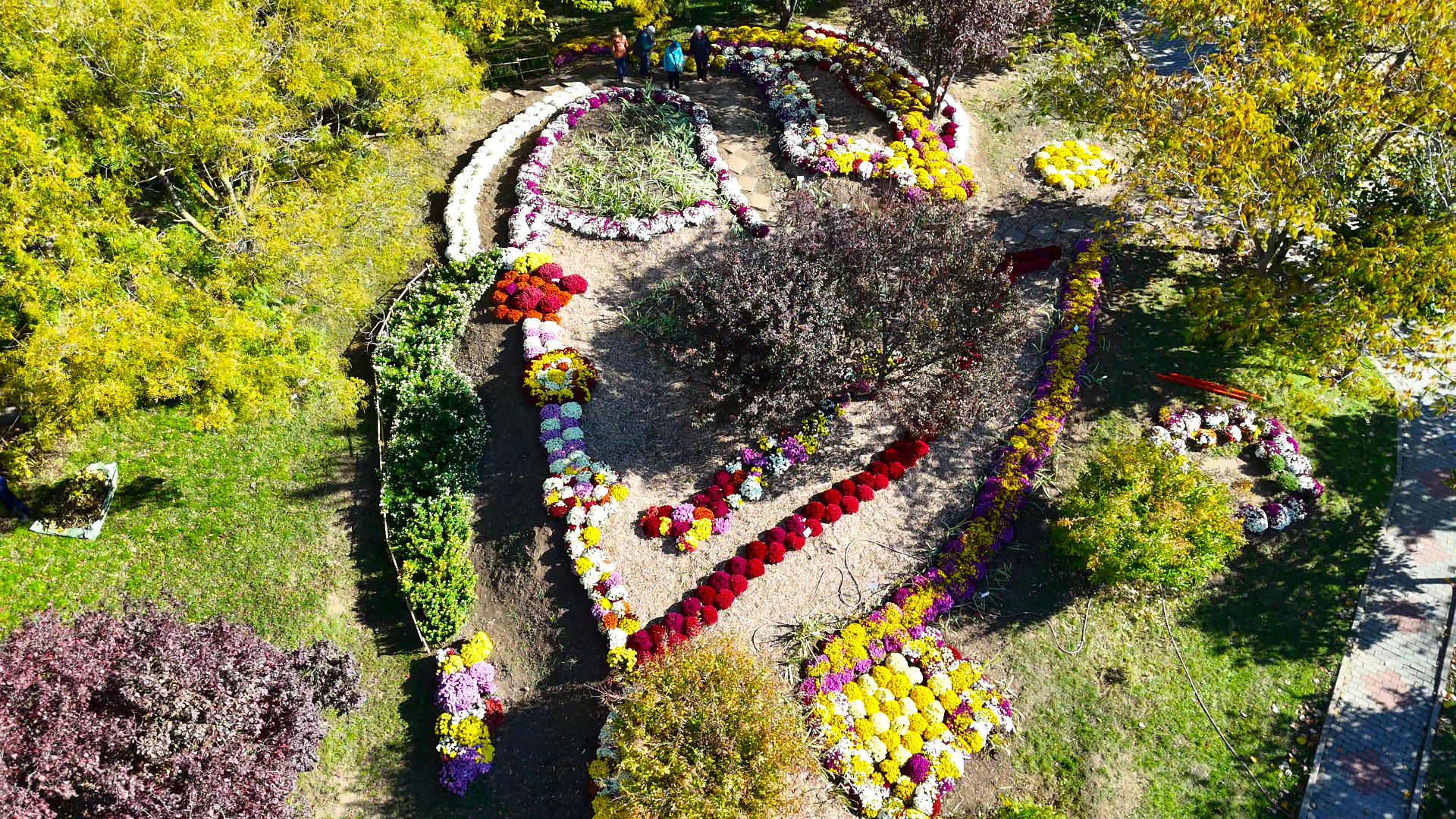 Invitaţie la Grădina Botanică. Expoziţia ”Regina Toamnei, Crizantema”, un spectacol plin de eleganţă și culoare