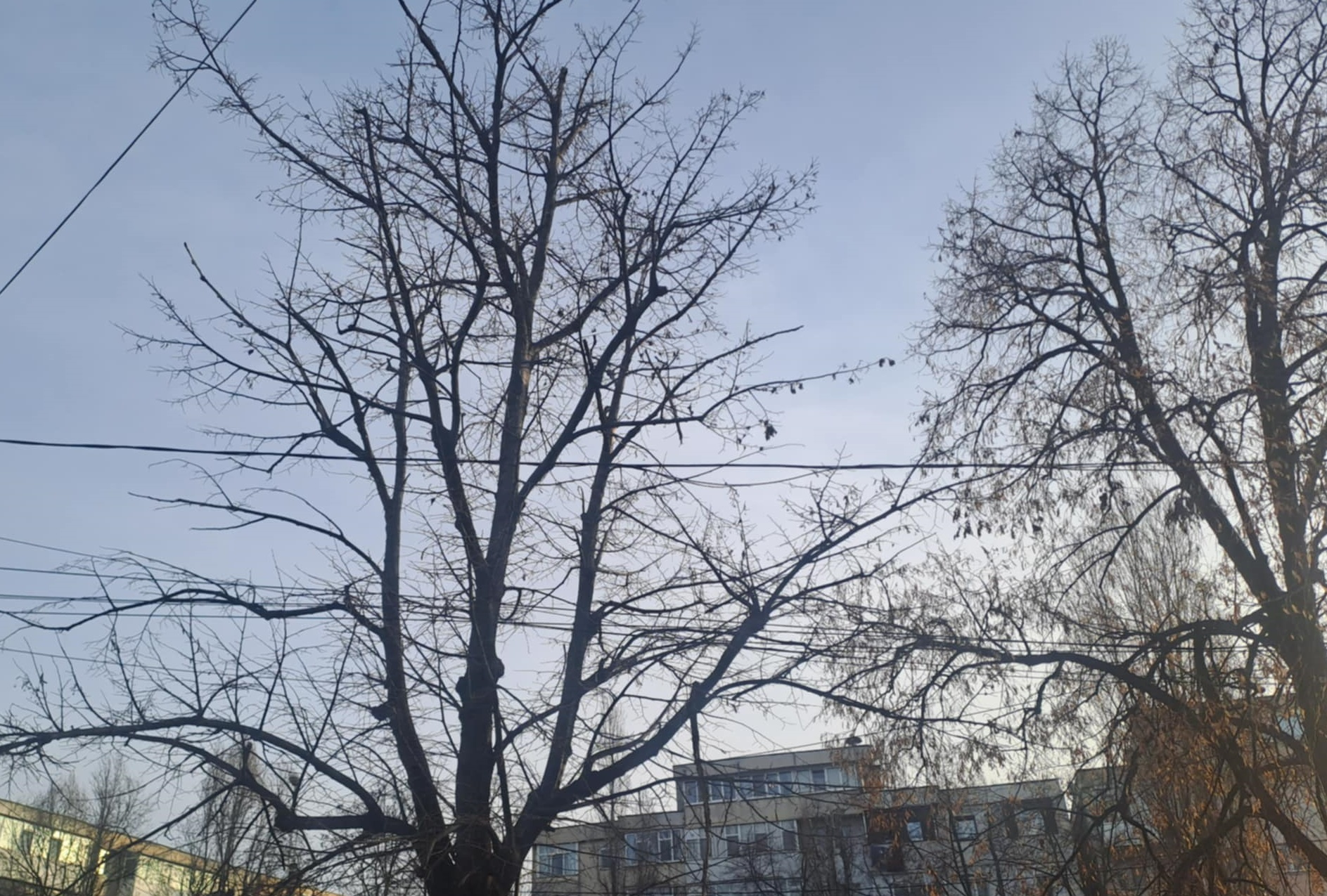 Vreme închisă şi şanse de ploaie