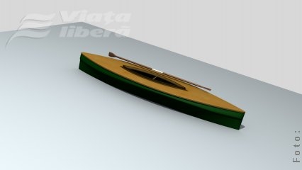 CRONICA UNUI PREMIER ANUNŢAT