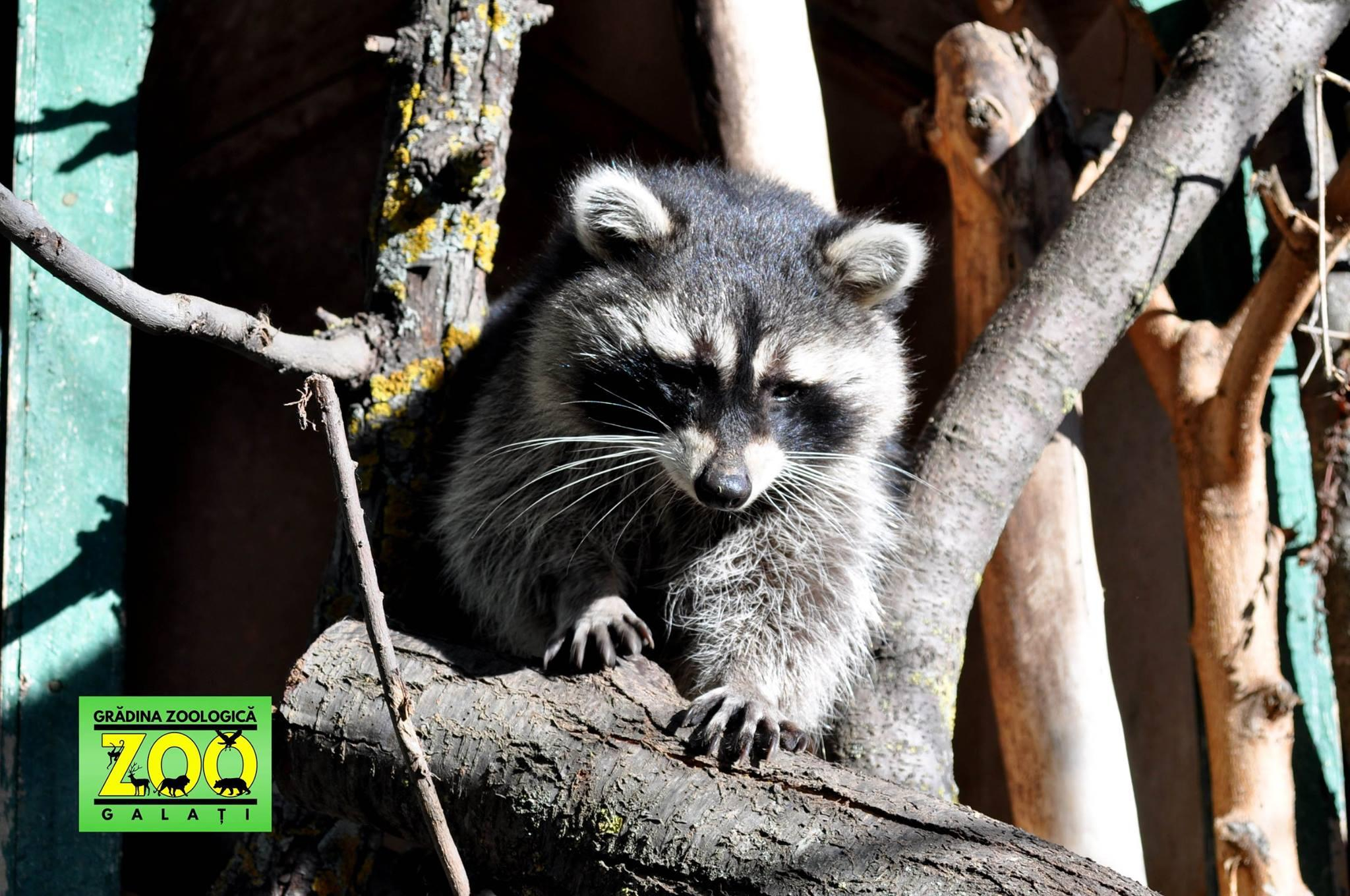 Program prelungit la Zoo şi Grădina Botanică