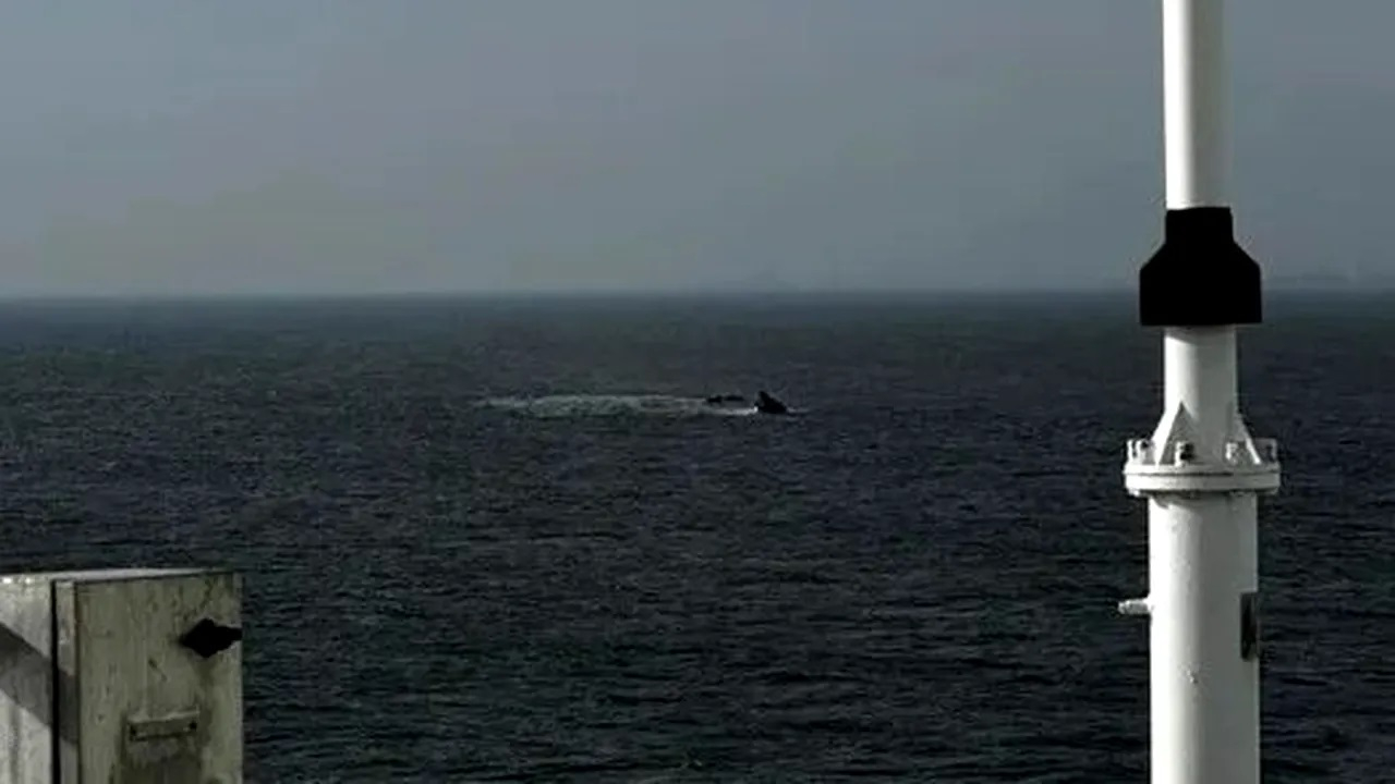 Marinarii dispăruți rămân captivi în mâlul Mării Negre