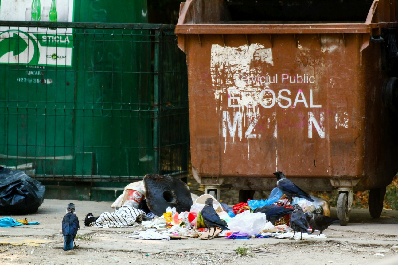 Bunul-simţ s-a mutat din centrul Galaţiului (FOTO)