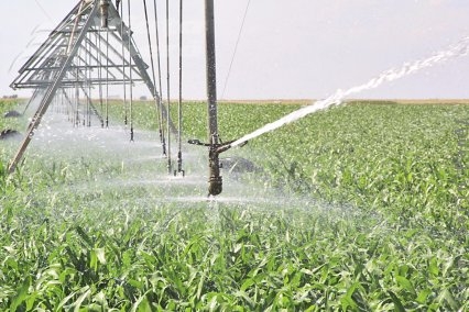 Irigă, dacă ai cu ce!