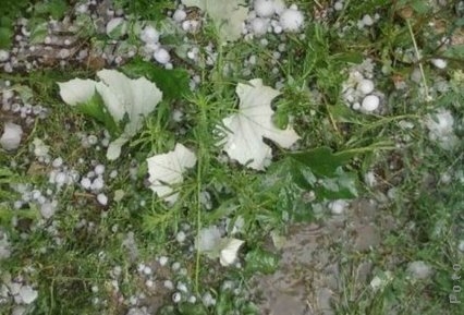 Cu grindina la evaluare