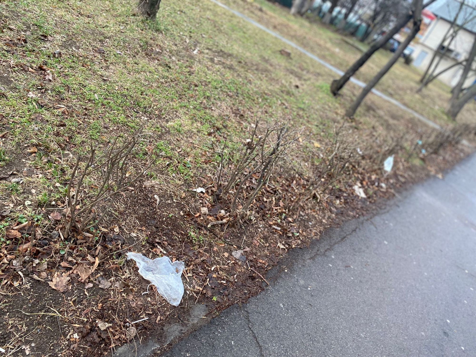 Gunoaie pe spațiul verde