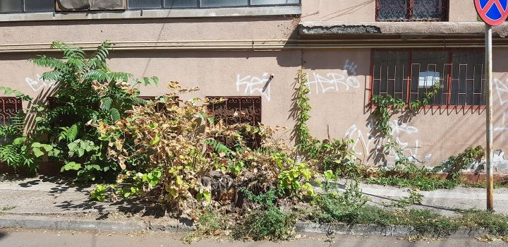 O nouă cioată, o nouă controversă!