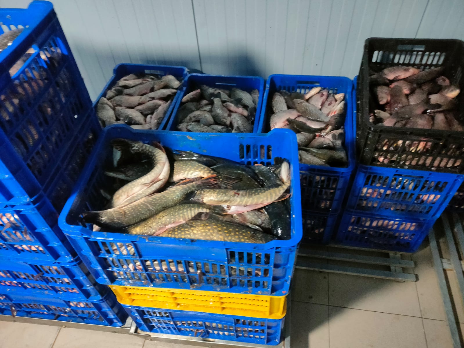 Un magazin a rămas cu galantarul gol după un flagrant