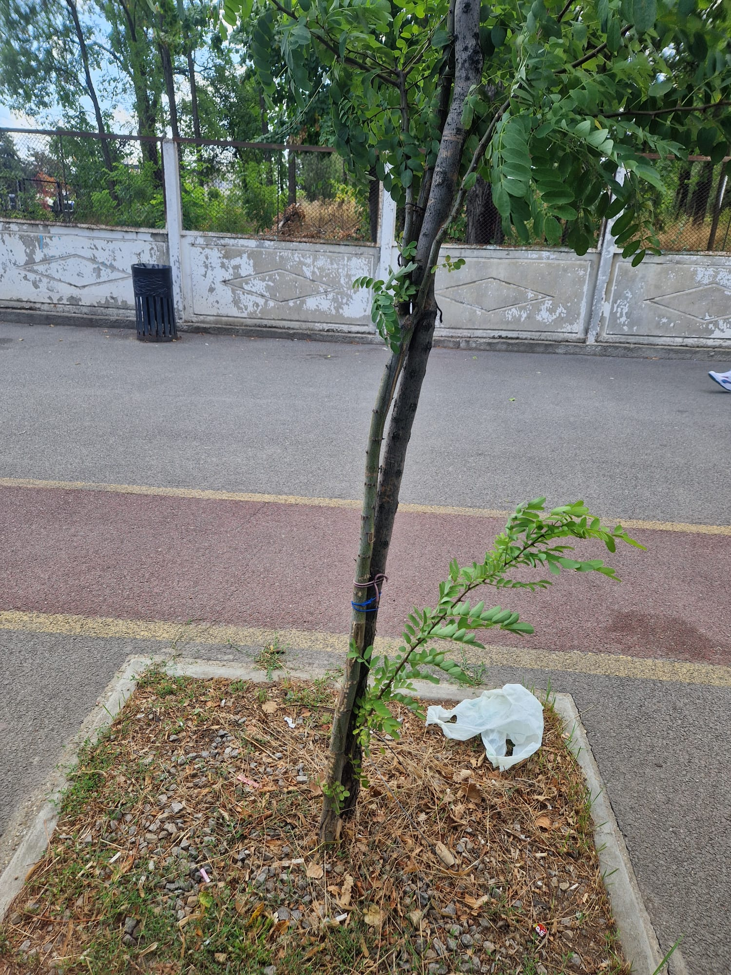 Poza zilei. Cu bunul simţ în bătaia vântului