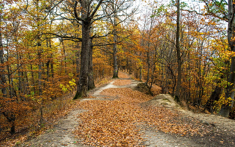 Meteo. Nori și temperaturi mai scăzute pe timpul nopții