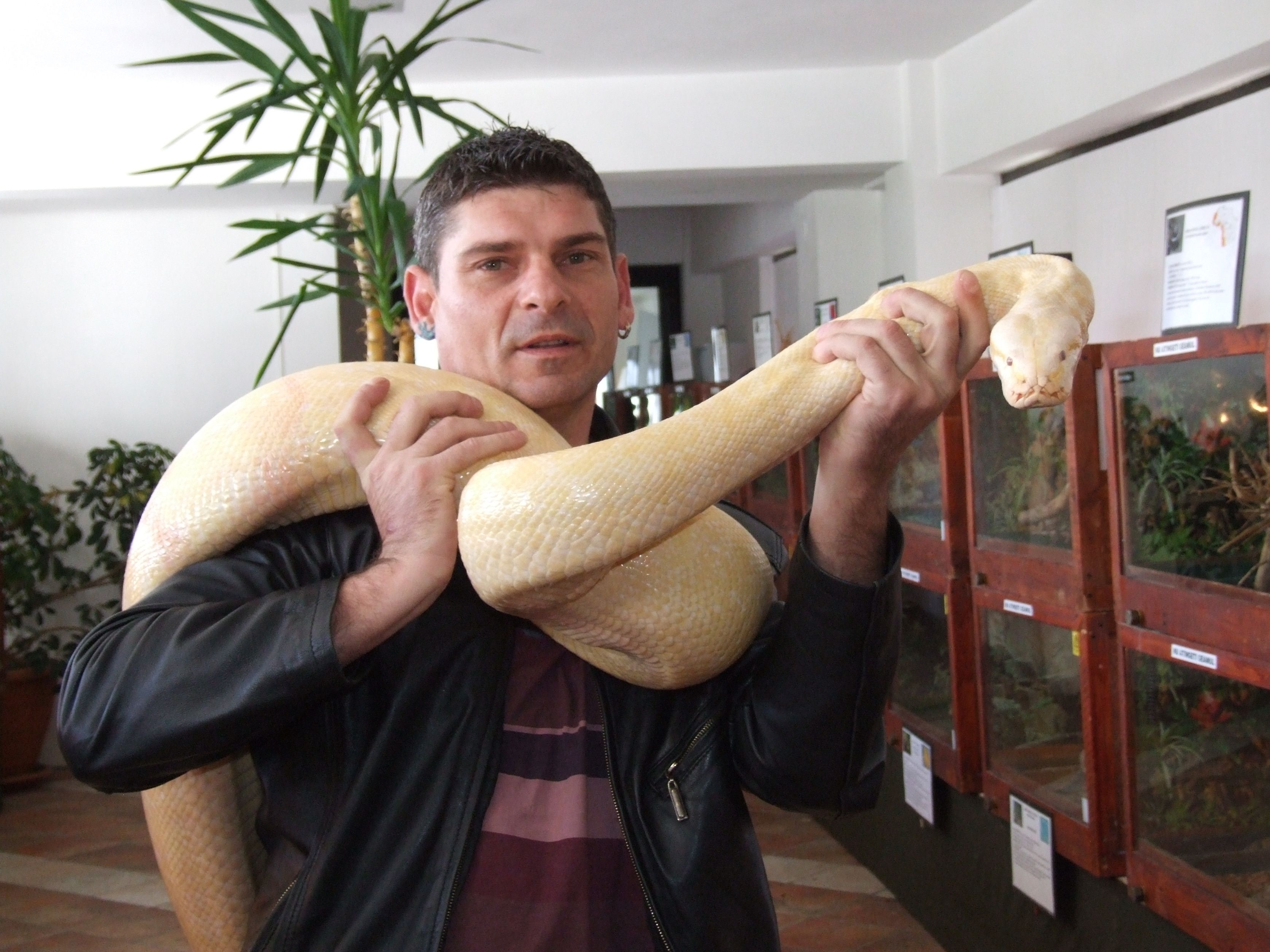 Expoziţie de reptile foarte periculoase la Complexul Muzeal de Ştiinţele Naturii Galaţi