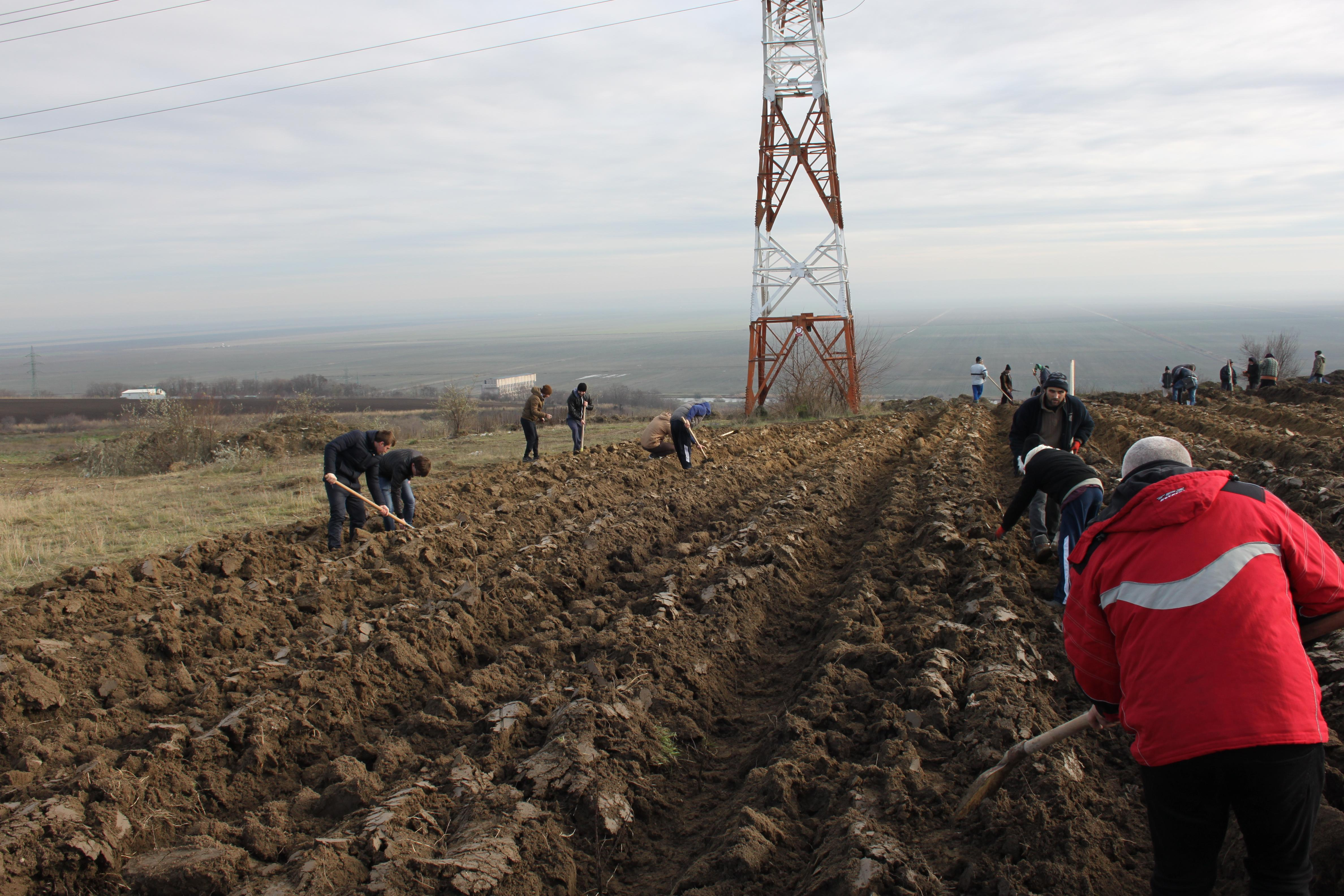 O pădure va creşte pe locul fostei gropi de gunoi