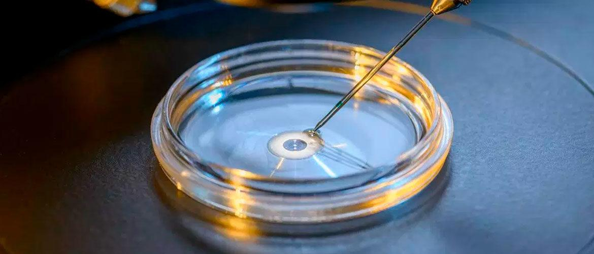 Şansă pentru cuplurile care nu pot face copii