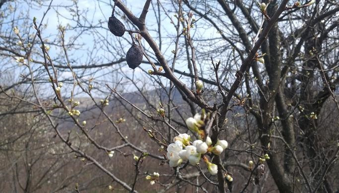 Cum va fi vremea în următoarele două săptămâni