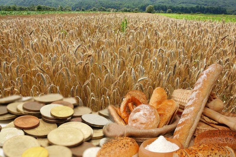 EXCLUSIV "VIAŢA LIBERĂ" / Cine scoate bani din grâul gălăţean