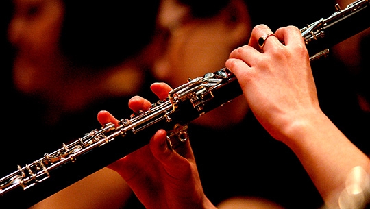 CONCERT "Danubian Brass Septet" cu INTRARE LIBERĂ, duminică seară, în Grădina Publică