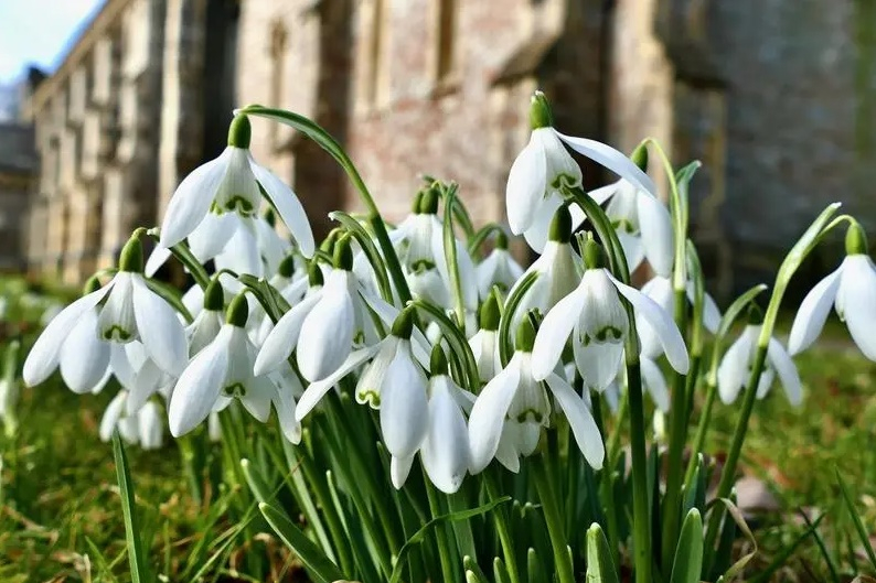 Prognoza meteo pentru următoarele două săptămâni