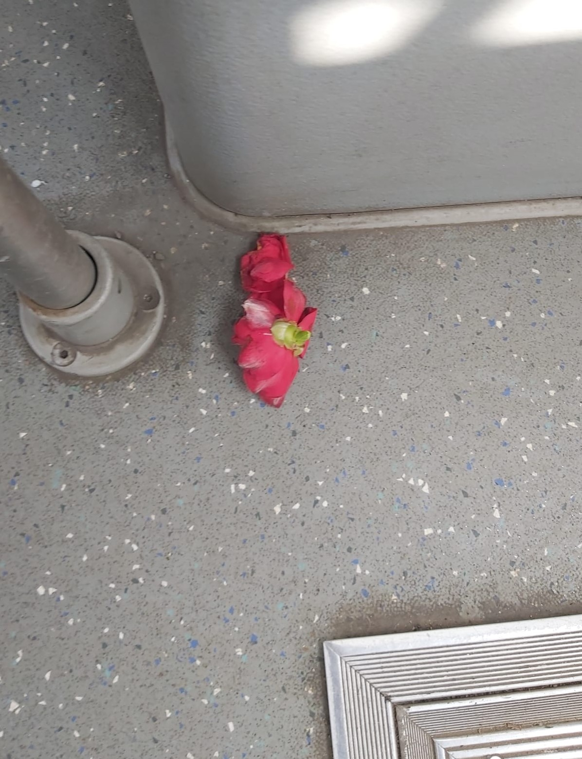 Poza zilei: Valentin sau Dragobete în mizerie