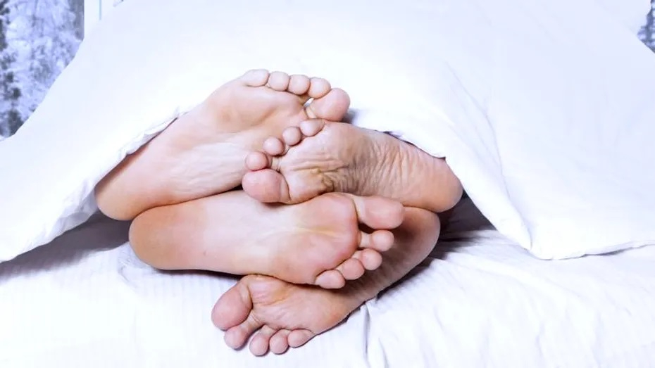 „Agripina Săracului”, noul program de guvernare și habarnare