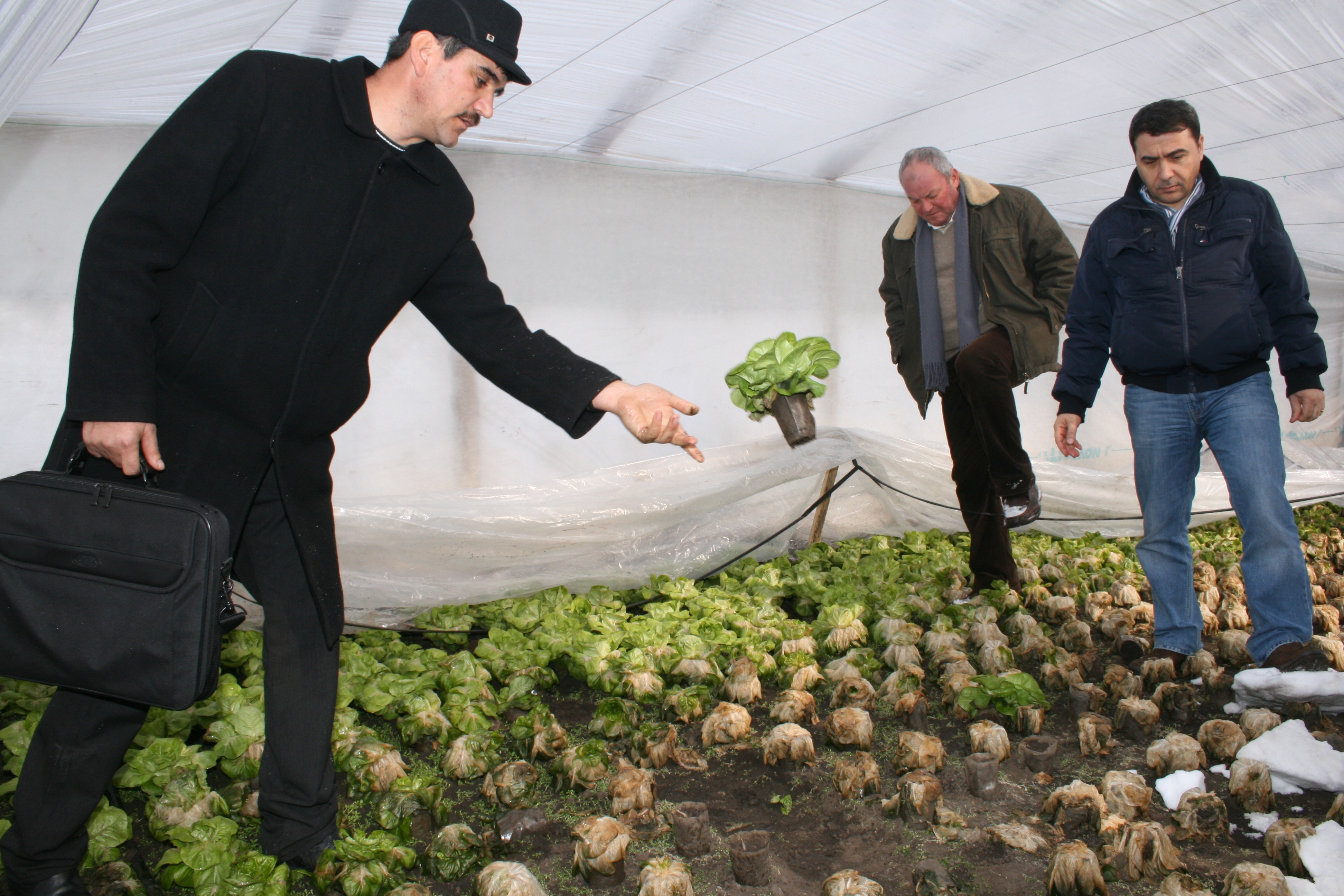 Jale la Matca - Solariile, ca după bombardament!