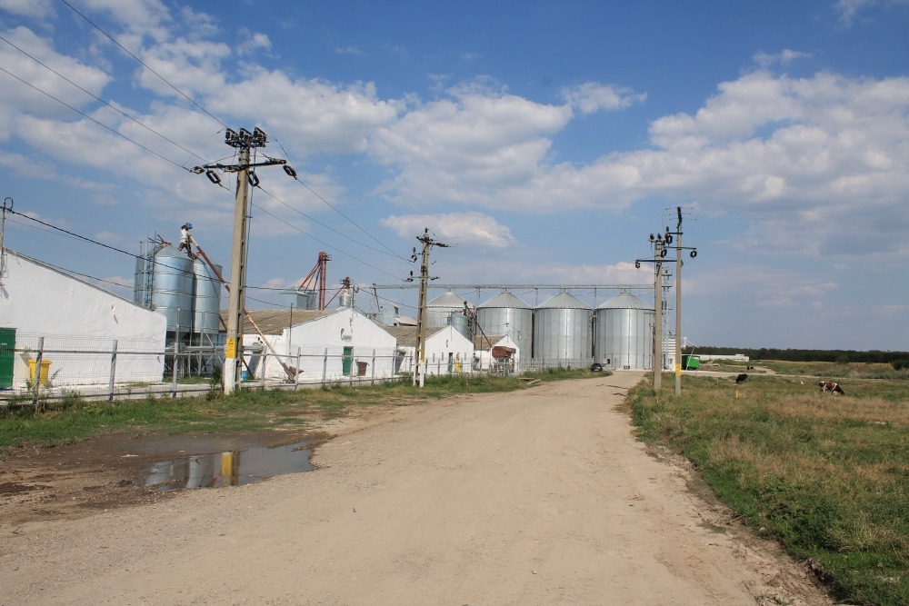 Vasluienii au venit în Galaţi să crească găini. Avicultură de performanţă