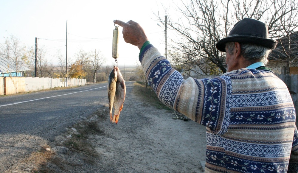 Cât PEȘTE mănâncă gălăţenii