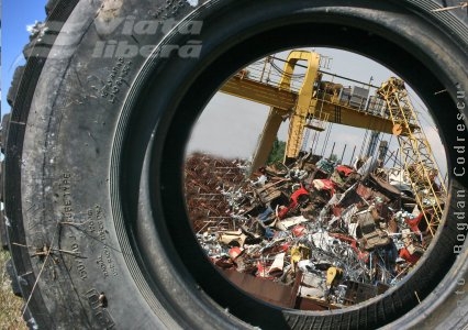 Rabla cere nervii tari