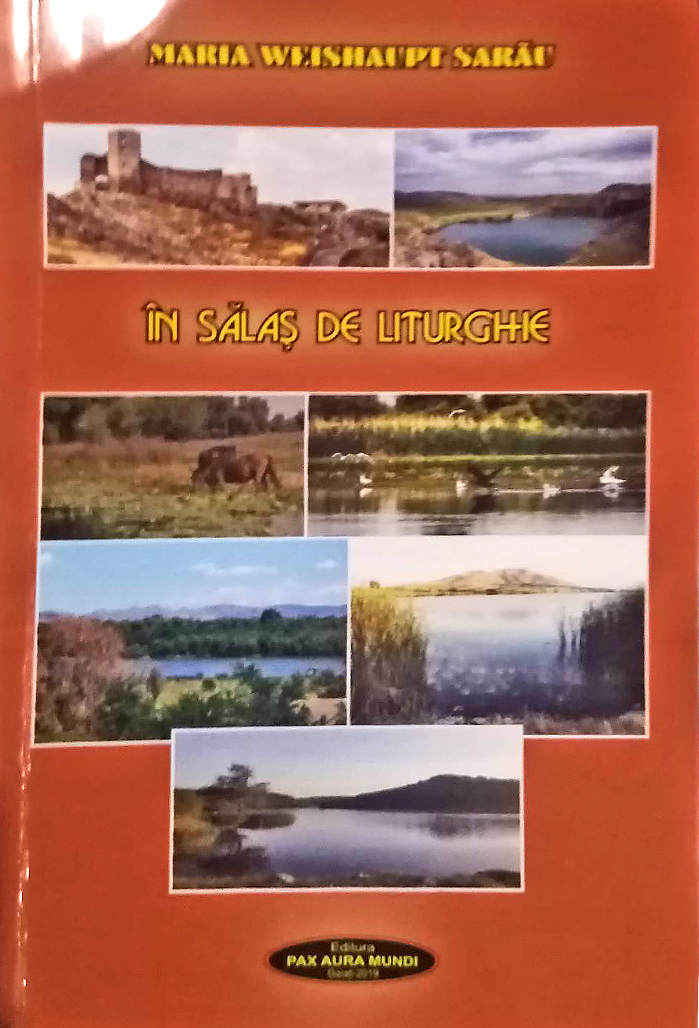 „Dar eu în suflet  doar Dunărea  o simt”...