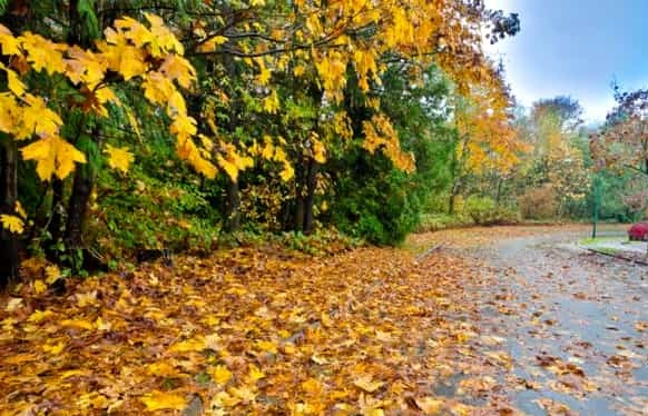 Cum va fi vremea în weekend