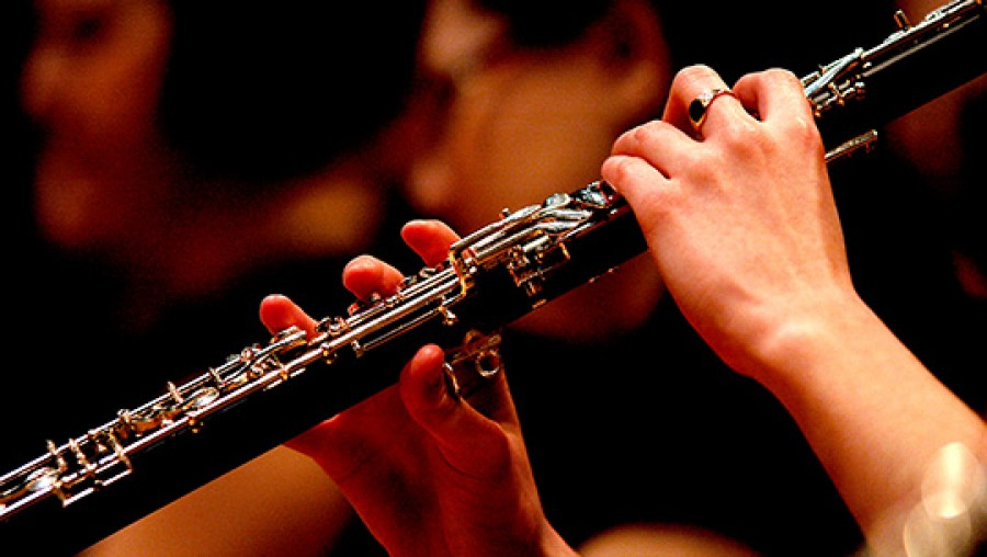 Danubian Brass Band cântă în Grădina Publică