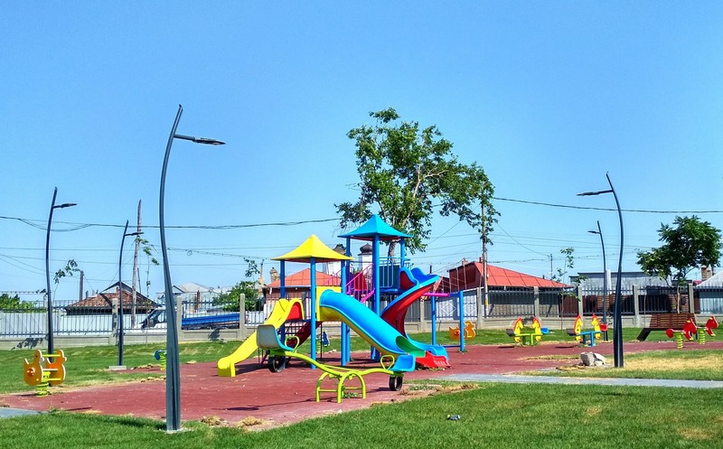 De ce nu mai avem copaci în parcuri?