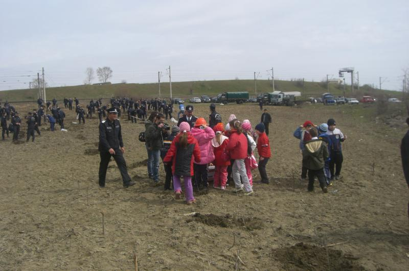 A început „Luna plantării arborilor”