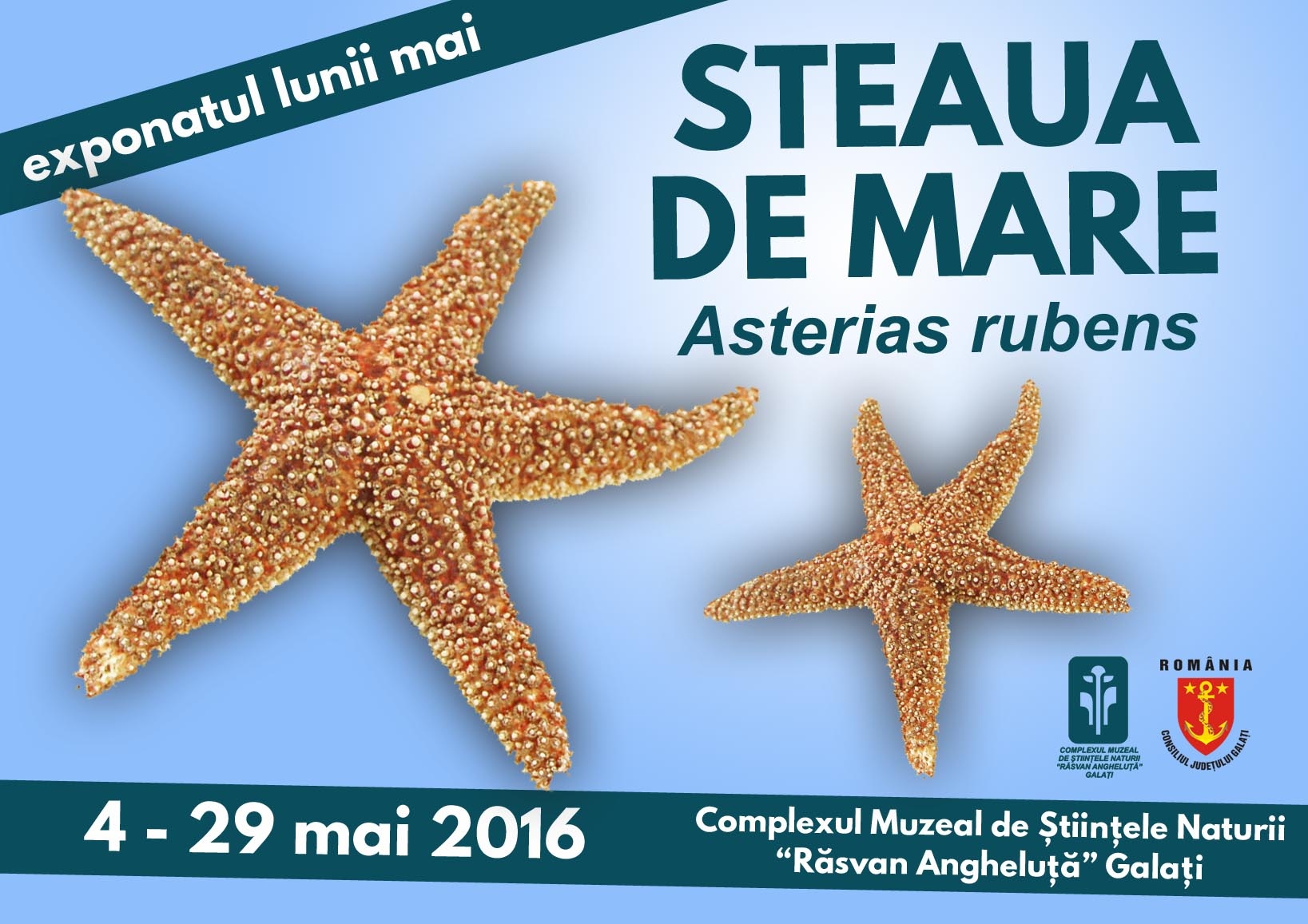 EXPONATUL LUNII mai, la Complexul Muzeal ”Răsvan Angheluţă”