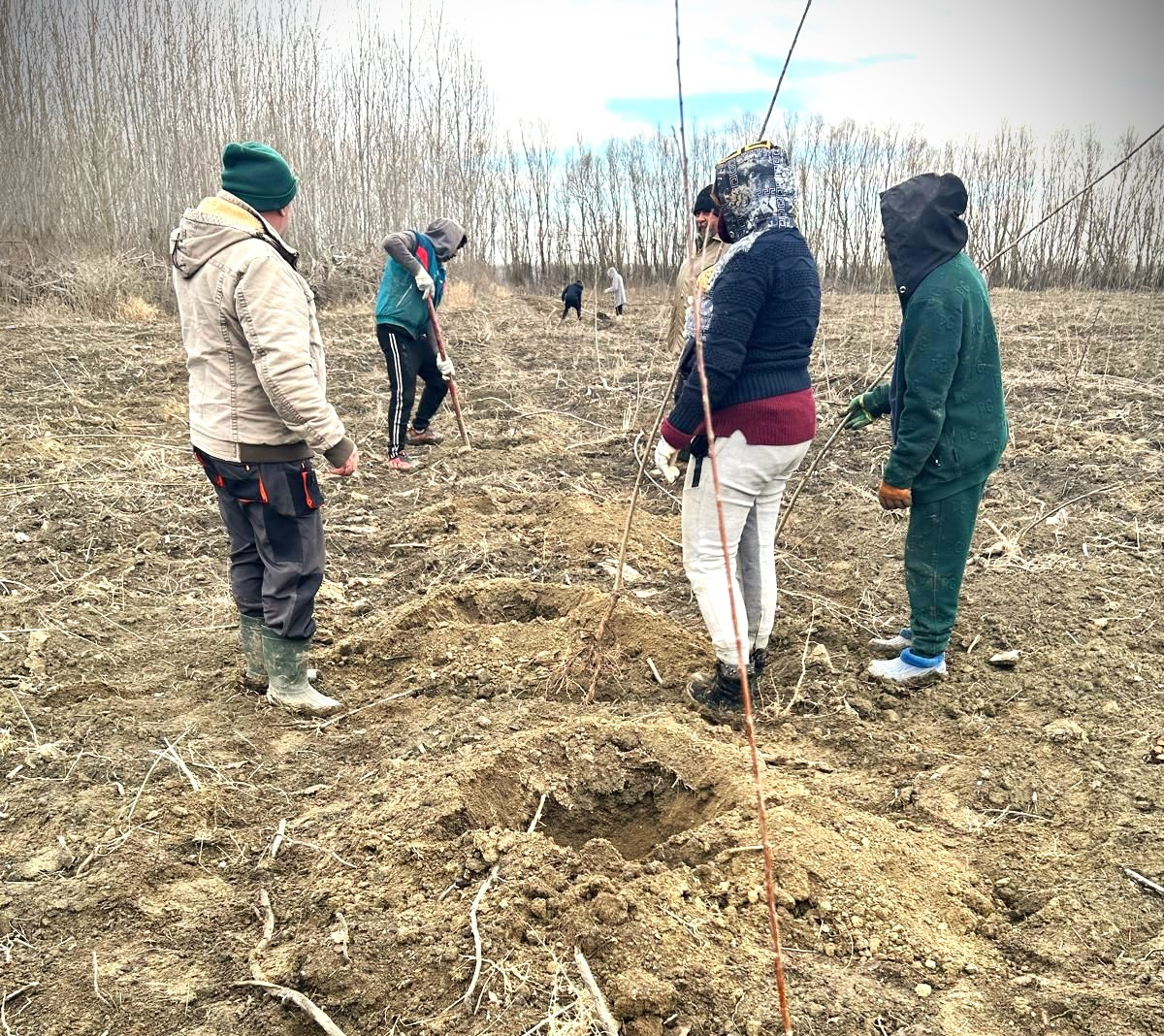 Acțiune de împădurire la Ocolul Silvic Galați