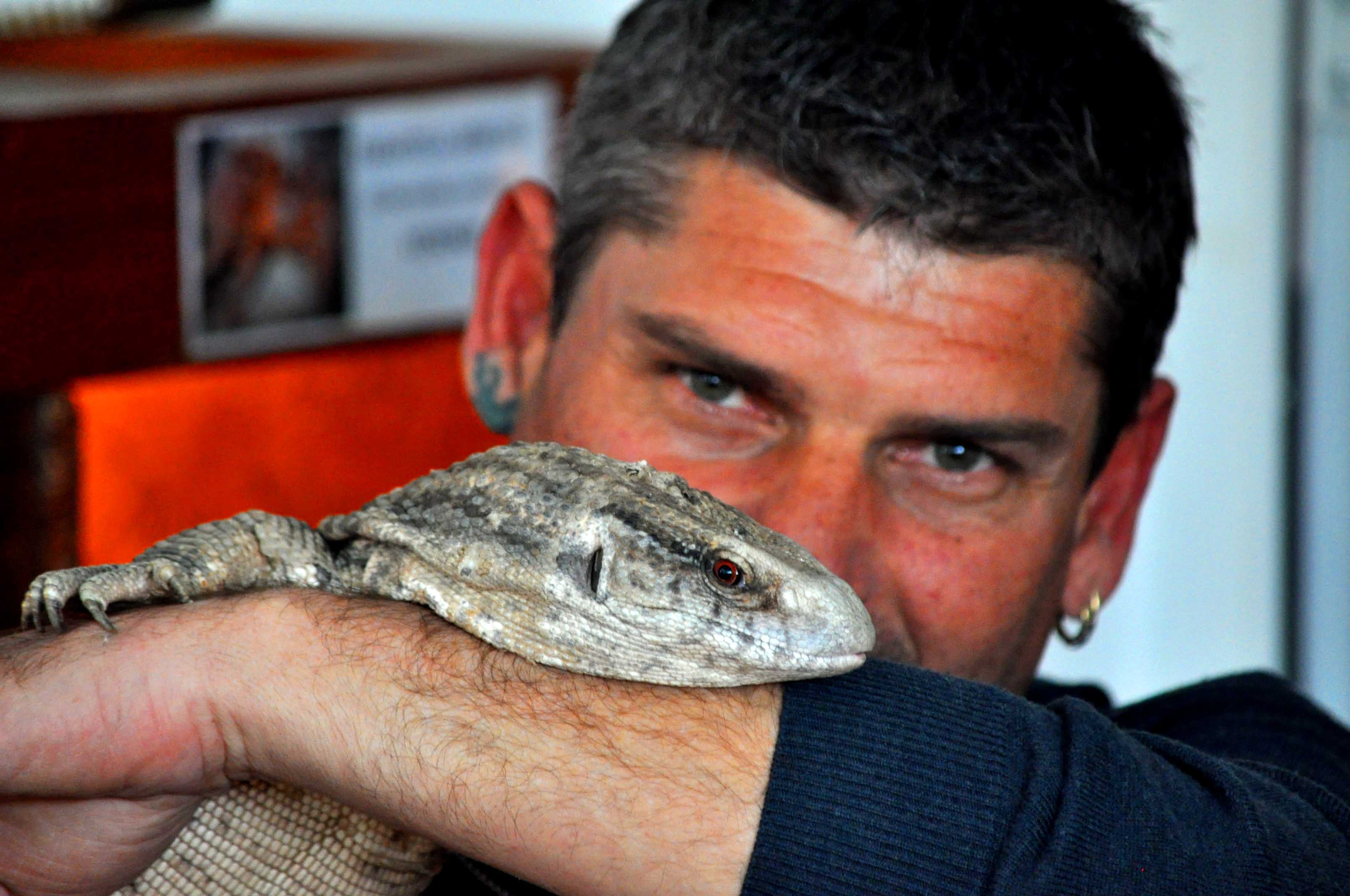 Expoziţie de REPTILE VII, la Ştiinţele Naturii. Cât costă biletul