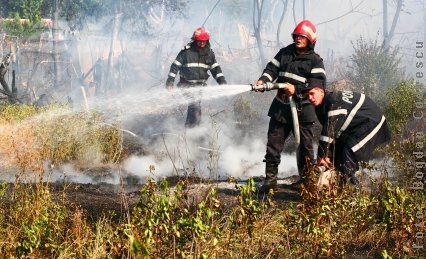 Incendiu lângă drumul de centură