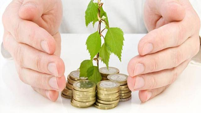 Măsuri PNDR de sprijin pentru tinerii fermieri