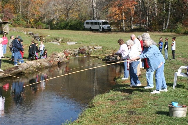 Oţelul deja a câştigat derbiul cu Brăila. La poante! Vezi aici cele mai tari bancuri cu brăileni