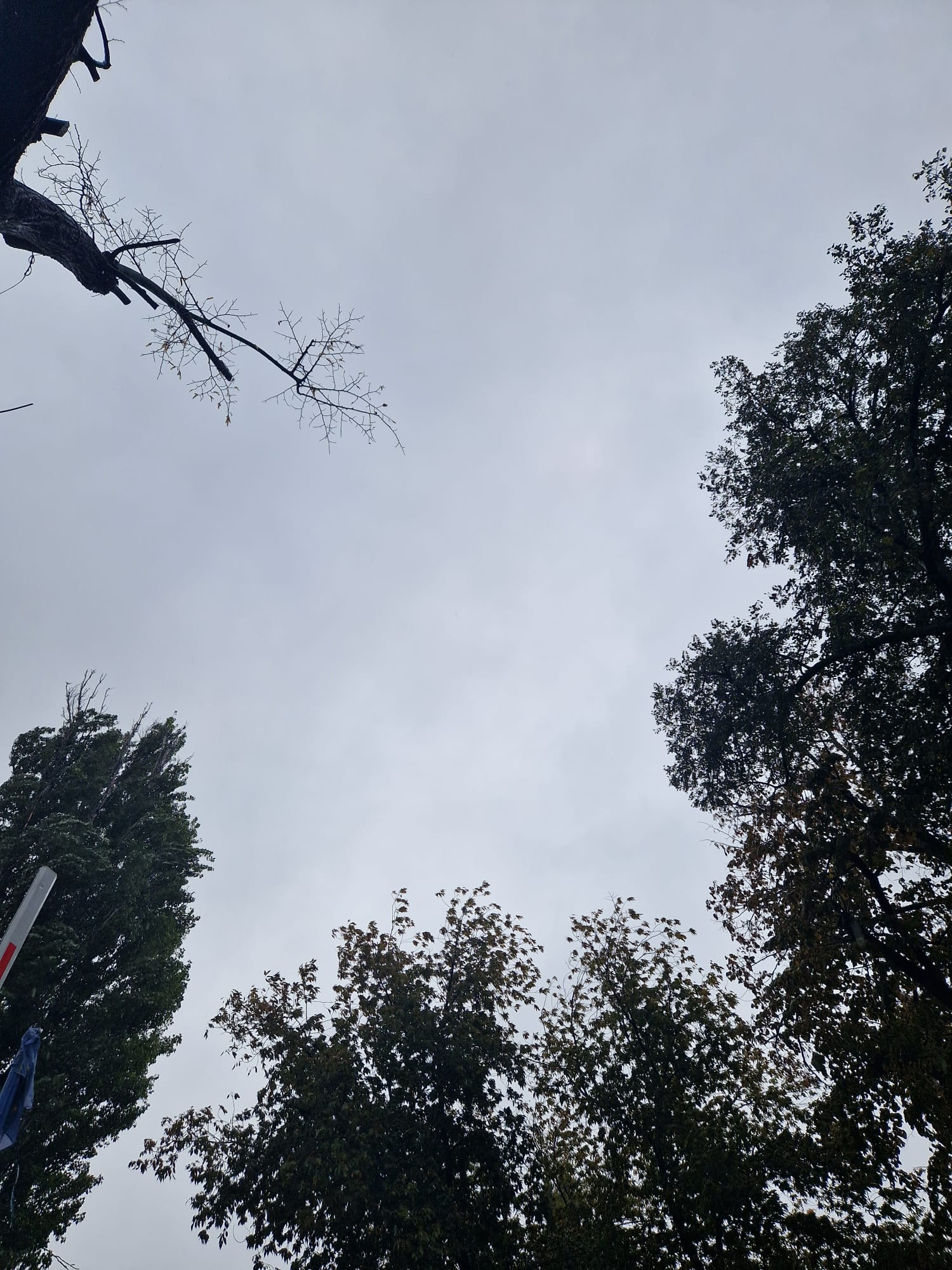 Cer înnorat şi ploaie mai uşoară