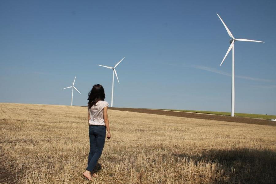 Proiect pentru un parc eolian la Tulucești