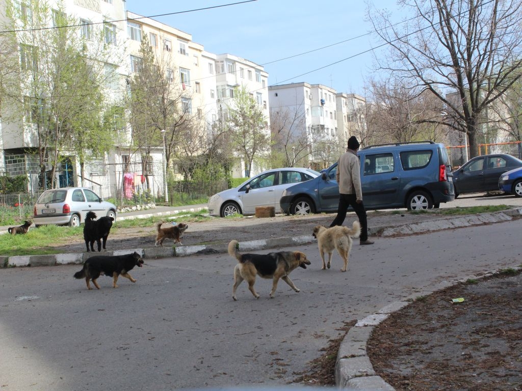 Micro 39C, cartierul de la marginea oraşului